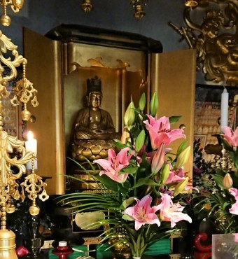 ご本尊様の横顔 福性寺の供花はユリです 今回のユリはピンクでとても美しいです 毎朝の勤行が楽しみです「全国旅行支援キャンペーン」の余波でしょうか？そんなこと！ないですか？