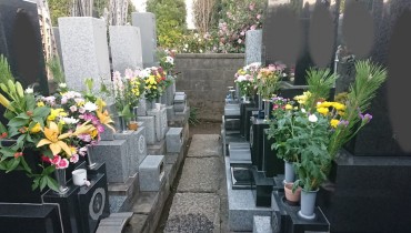 墓所に供花があります 新年の墓参の皆様は松いりの供花でs