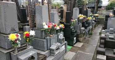 私の左側（見えません）を含めて16軒の墓所全てに供花があります