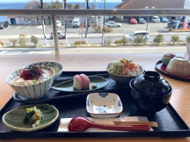 ミニシラス丼とミニ山かけ丼