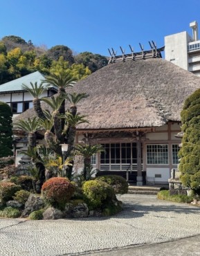 福泉寺様茅葺き屋根本堂