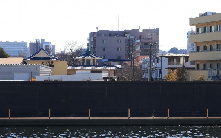 梶原の渡し跡 土手に接する土が高くなり川面を見ることができます 堤防の上には左から三ツ輪ホールディングス 福性寺客殿と本堂 サニーライフ王子が見えます 