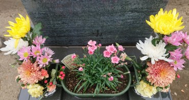 普段のぼさんよりお花がおおいようです 生前のお母様にも母の日もはの普段とは異なる特別なお供え物
