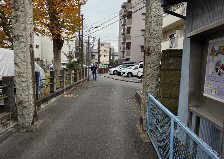 お地蔵様の見守る中で区道の清掃 夏に美しい白山神社のケヤキです 秋の紅葉もなかなか見事です 神社の周囲の区道や里道を清掃させてもらっています