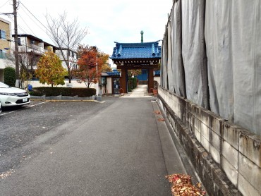 掃除の途中です 山門全体がよく見えるようになりそうです