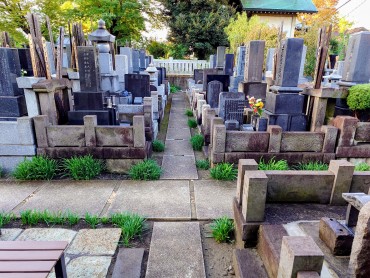 福性寺の墓地 緑色の草は彼岸花です 全ての参道が車椅子が入ることができるわけではありません