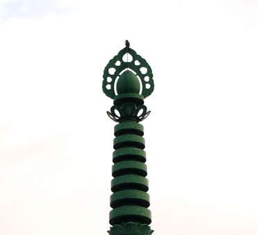 掃除を観察している小鳥がいました