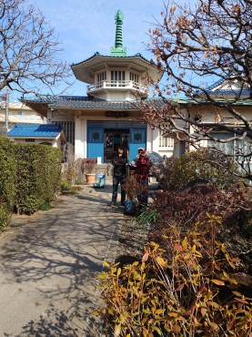 秋元園芸植木屋さんやっちゃん様（右）二人の前と写真も右下がカネコゲンカイツツジ 本堂前の中央参道に3株あります
