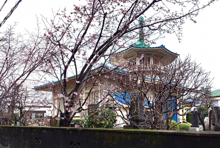 区道から見た福性寺本道この撮影位置でお二人にあいました