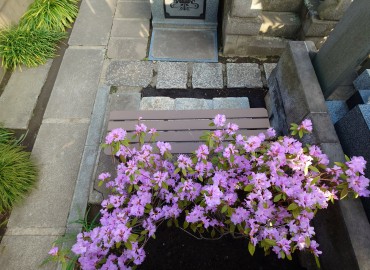 ベンチスペース いつでも座ることができ手荷物を置くことができます カネコゲンカイツツジです