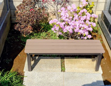 本堂裏の墓地のカネコゲンカイツツジ