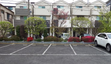 駐車場のベニキリシマツツジはだいぶ赤くなりました まったくゴミのない清潔な駐車スペースに注目ください