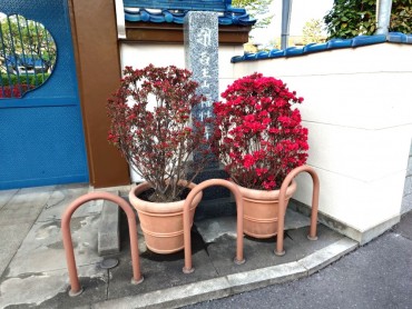 山門前 私が丸く作っています まだ途中です これ以上まるくしません