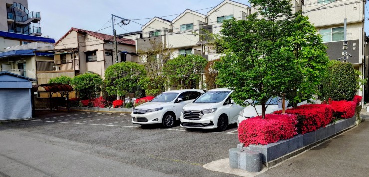 今朝撮影 すっかり駐車場はリン力とツツジの花に囲まれました 墓参にお出かけください