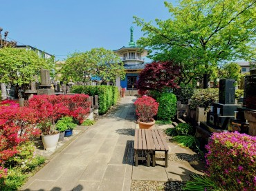 山門の中です 新緑が美しいです