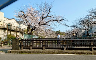 石神井川に架かる金沢橋から撮影